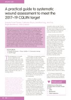 A practical guide to systematic wound assessment to meet the 2017–19 CQUIN target